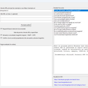 Interfața Audit SEO eTimpulSEO pentru introducerea URL-ului și setări de crawl cu respectarea robots.txt