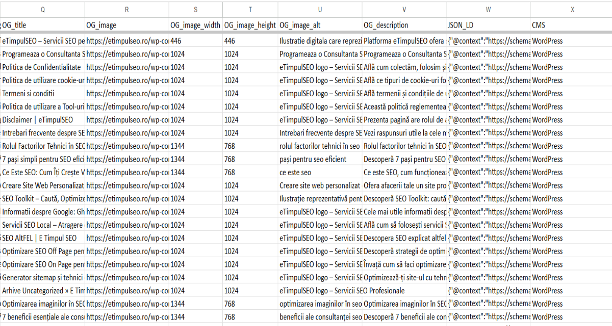 Raport Excel Audit SEO eTimpulSEO cu Open Graph și JSON-LD