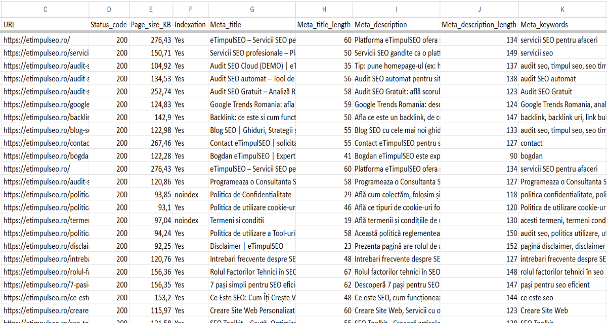 Raport Excel Audit SEO eTimpulSEO cu status codes, indexare și meta title description